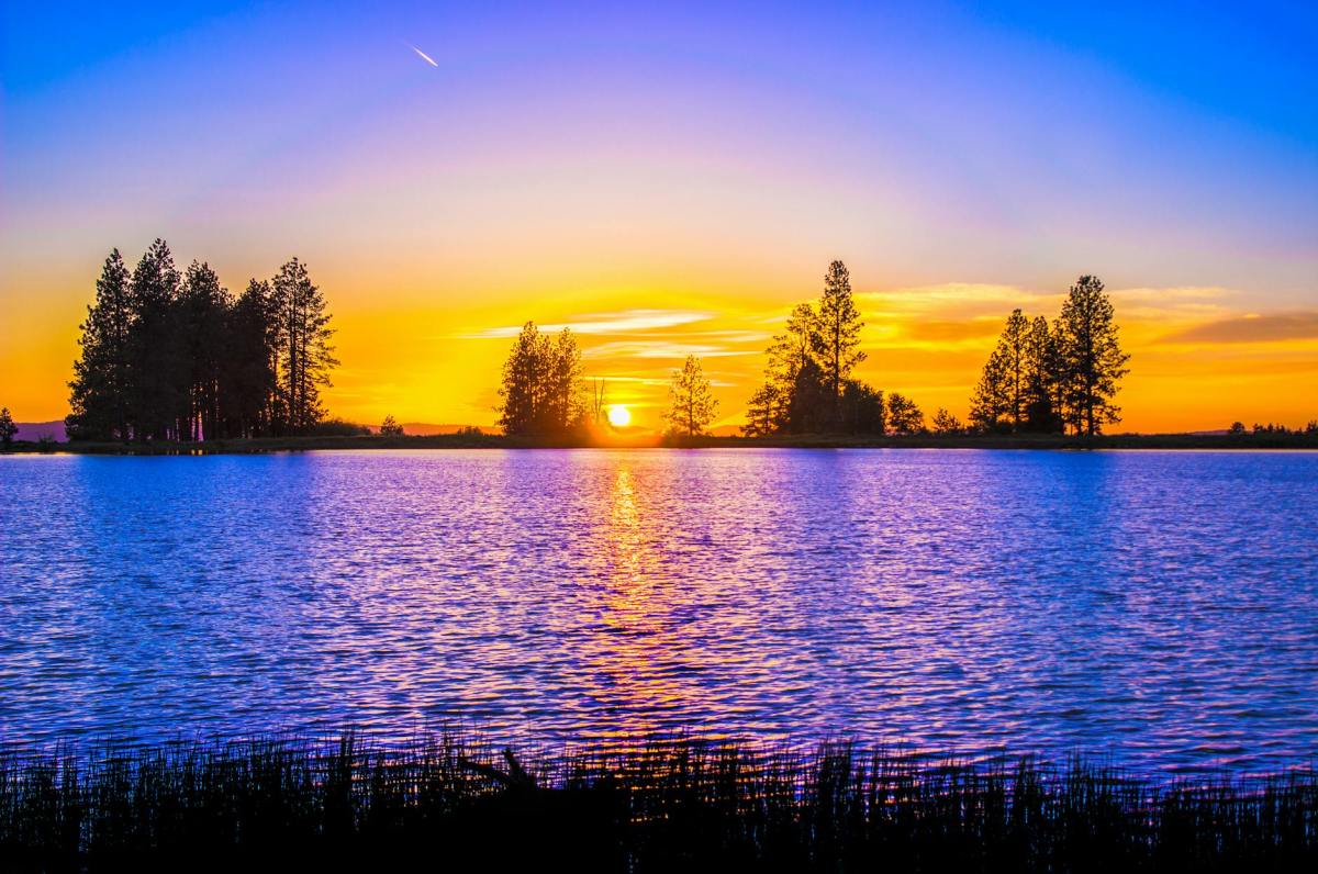 What the World Cannot&nbsp;Take